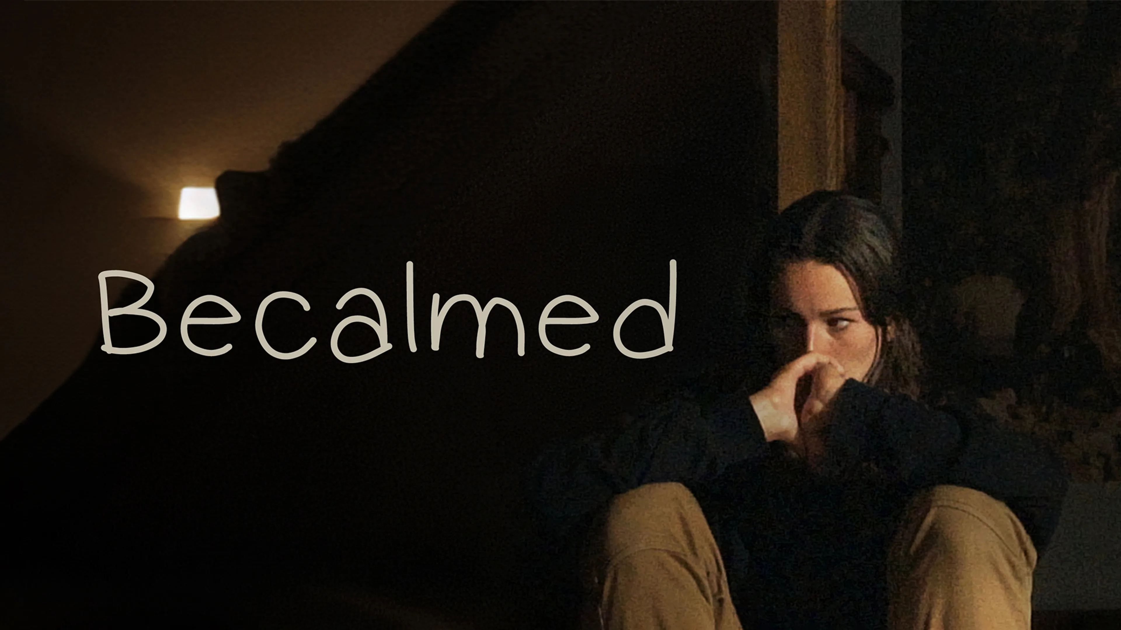 Becalmed poster